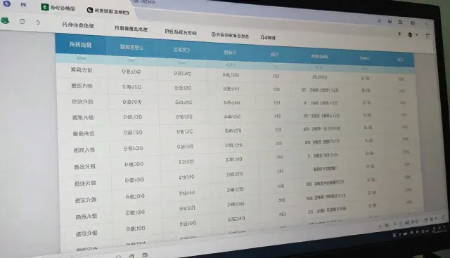 区域支持如何影响企业信息维护的实施效果