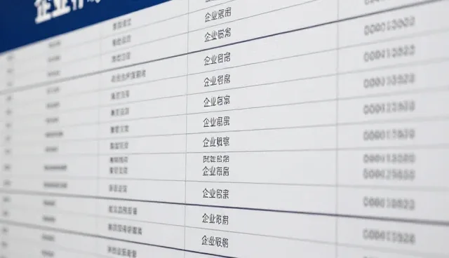 企业名录查询效率低下,如何优化推广策略